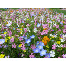 Blumenwiese "Niedrigwachsende Mischung"